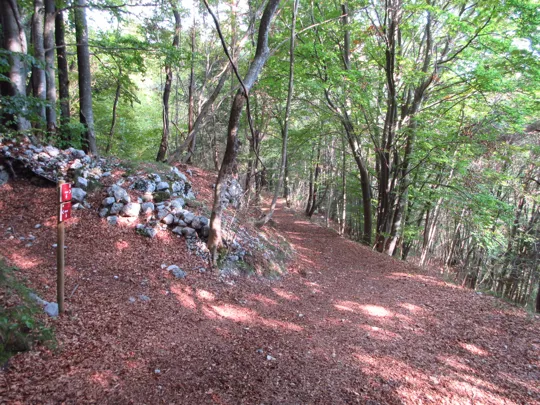 Dettaglio del percorso