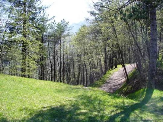 Batteria S.Rocco - Dettagli