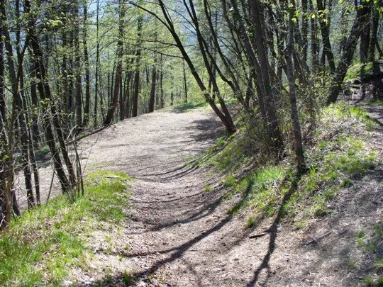 Batteria S.Rocco - Strada di accesso