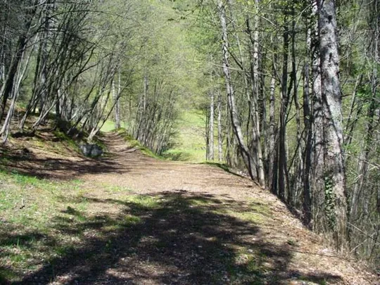 Batteria S.Rocco - Dettagli