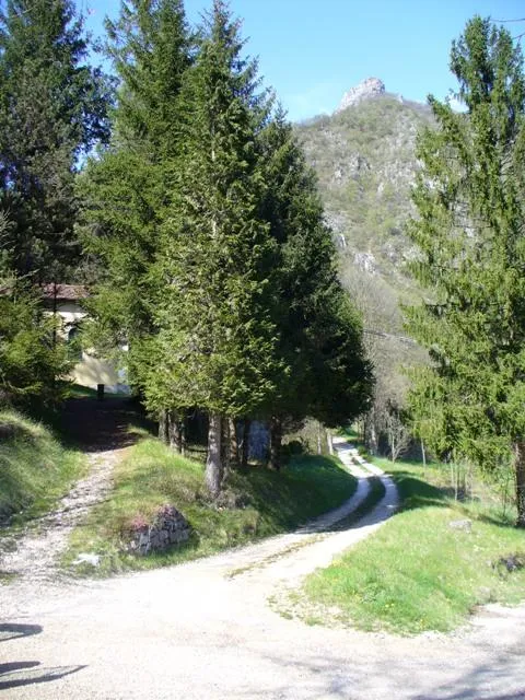 Batteria S.Rocco - Strada di accesso