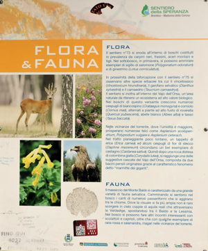 Flora e Fauna
