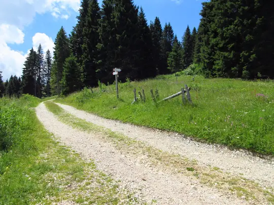 Superamento della strada verso la malga