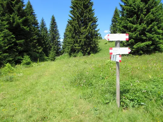 Indicazioni per malga di val Orsara