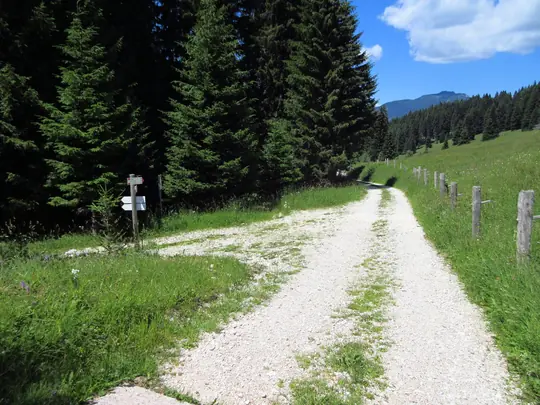 Proseguire per la strada a sinistra