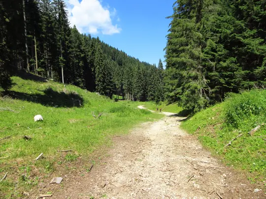 La valle dove inizia l'Astico