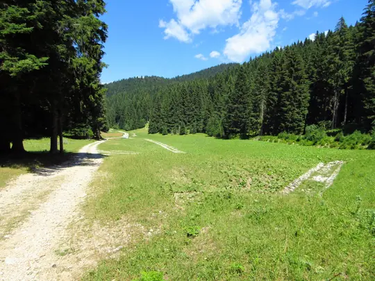 La valle dove inizia l'Astico
