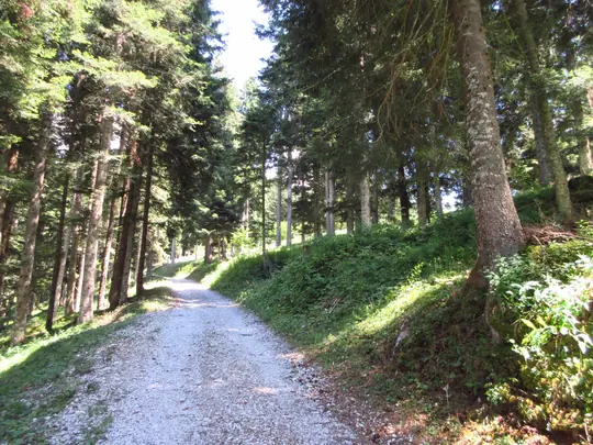 Dettaglio del percorso