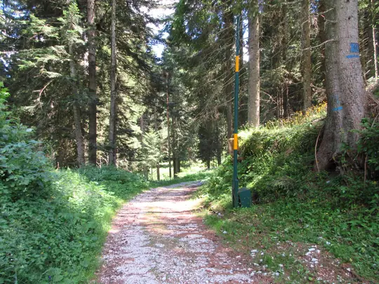Dettaglio del percorso subito dopo l'incrocio