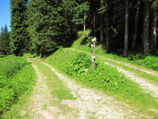 Proseguire sulla strada a sinistra