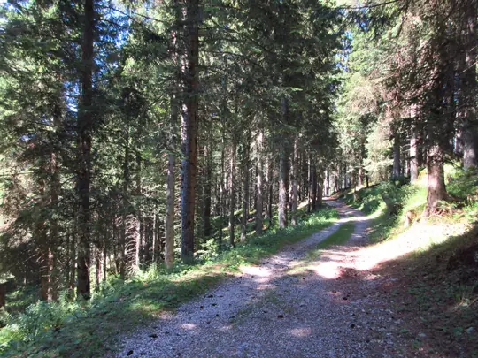 Dettaglio del percorso