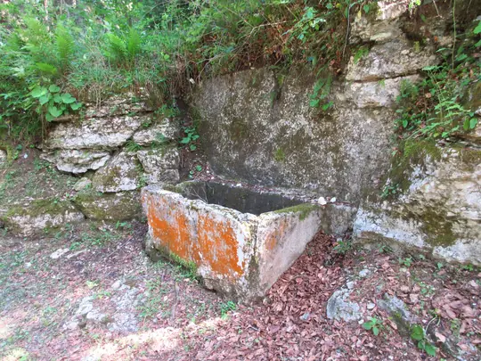 Dettaglio del percorso