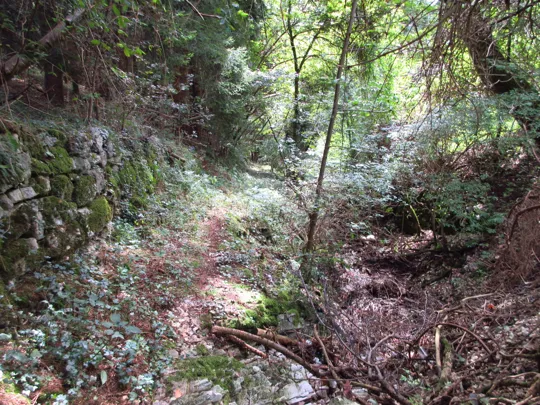 Dettaglio del sentiero