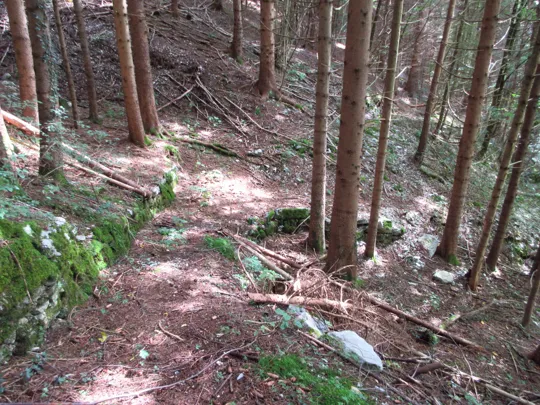 Dettaglio del sentiero