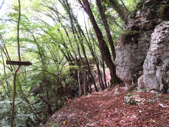 Dettaglio del sentiero