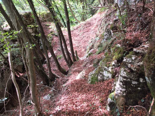 Dettaglio del sentiero