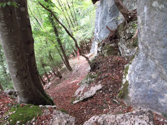 Dettaglio del sentiero