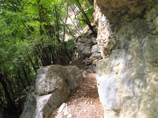 Dettaglio del sentiero