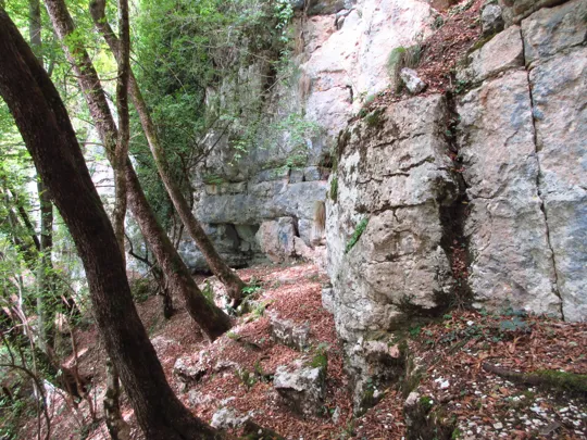 Dettaglio del sentiero