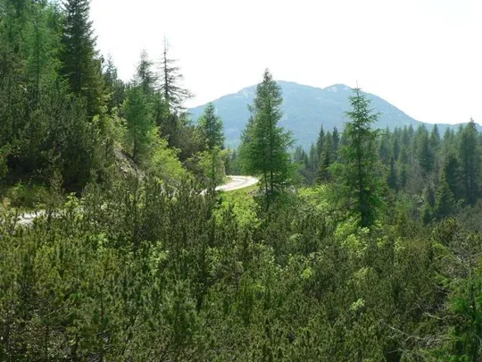 Selletta Caviglia - Corno di Campo Verde