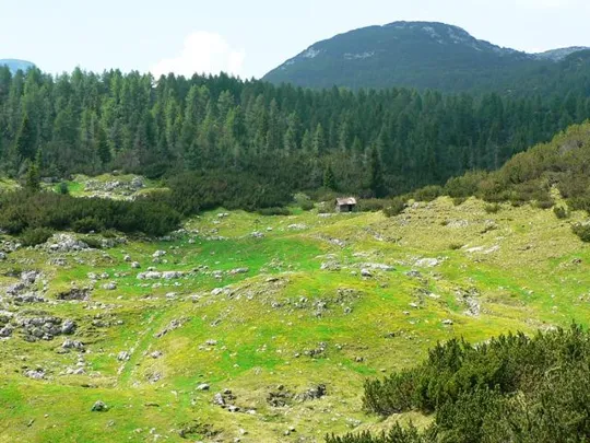 Selletta Caviglia - Monte Chiesa