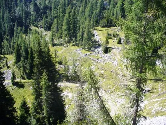 Selletta Caviglia - verso il cimitero