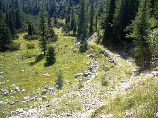 Selletta Caviglia - verso il cimitero