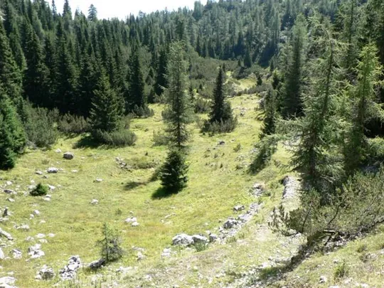 Selletta Caviglia - verso il cimitero