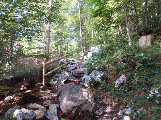 Dettaglio del percorso (2025)