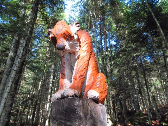 Piccola tigre rossa - Claire Alexie Turcot