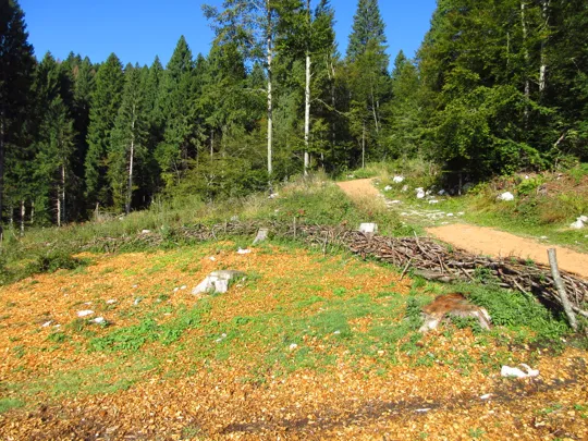 Work in progress - Cerchio della riconciliazione - Frigo Alberto (2025)