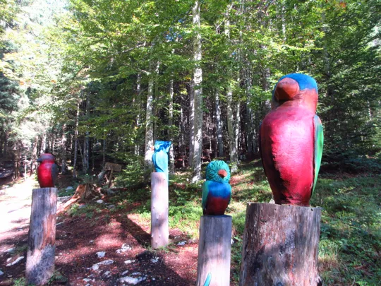 Community - Diana Villasenor