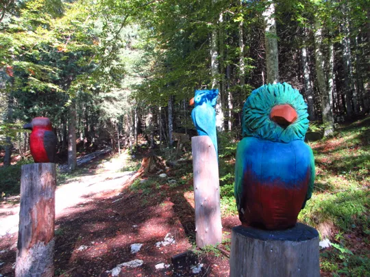 Community - Diana Villasenor