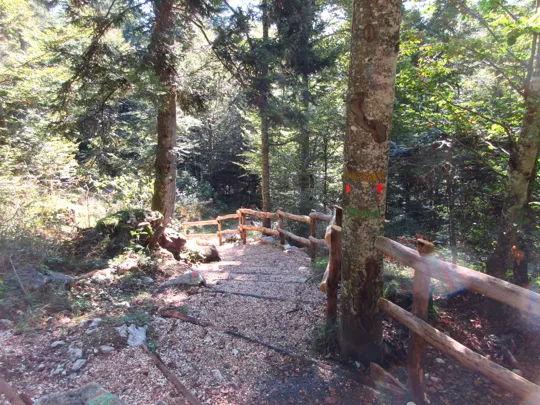 Dettaglio del sentiero