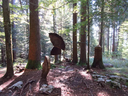 Opera senza indicazione