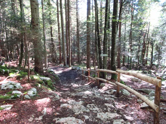 Dettaglio del sentiero