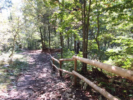 Dettaglio del sentiero all'incrocio con il percorso iniziale