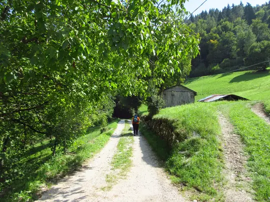Strada verso Contrà Coste