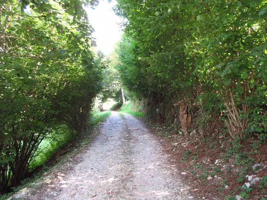 Strada verso Contrà Coste