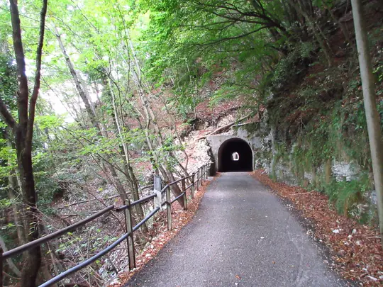 Prima galleria sulla strada per Valgoda