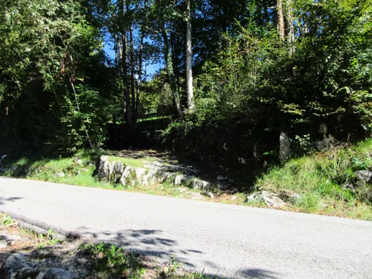 Attraversamento della strada