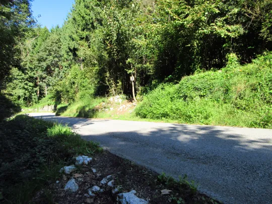 Attraversamento della strada