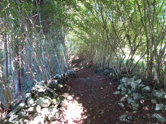 Dettaglio del percorso