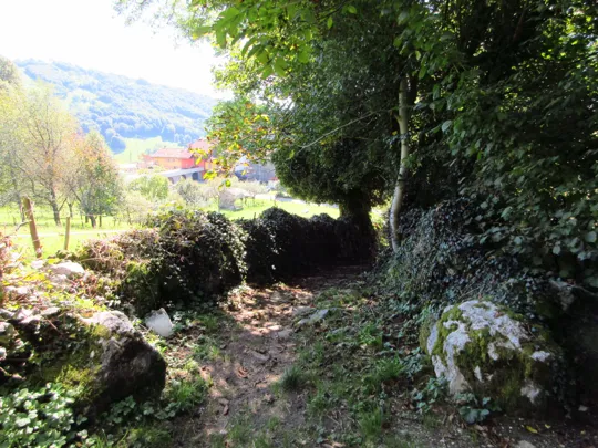 Dettaglio della mulattiera