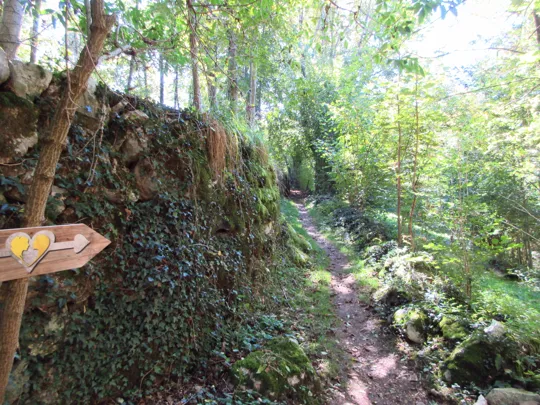 Dettaglio del sentiero nei pressi della contrada