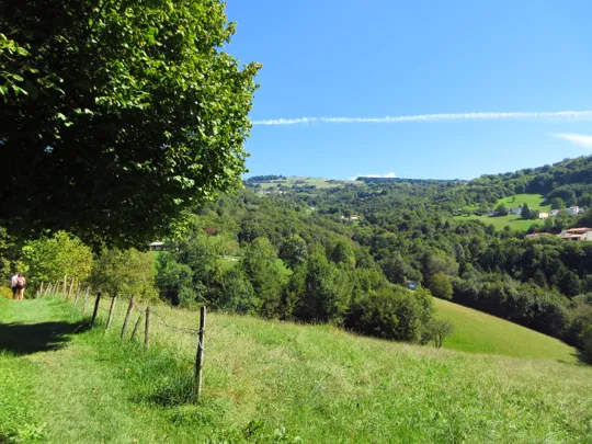 Dettaglio del percorso usciti dalla contrada