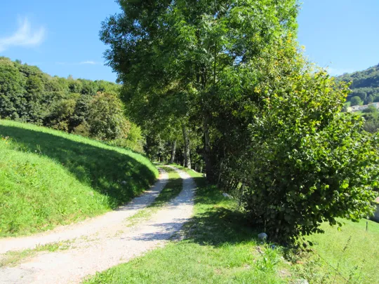 Dettaglio del percorso