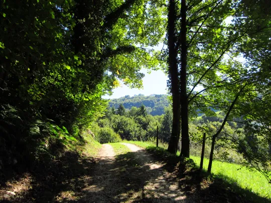 Dettaglio del percorso