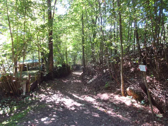 Dettaglio del percorso