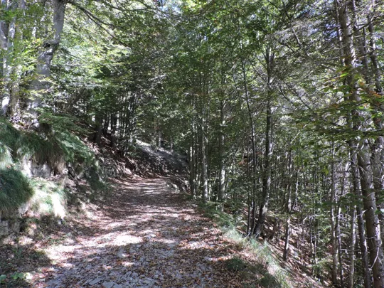 Dettaglio del percorso